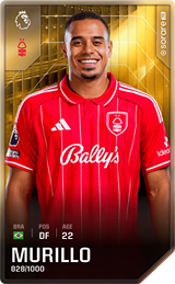Murillo - limited