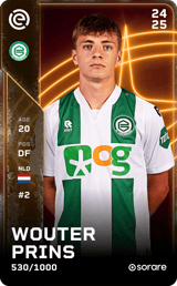 Wouter Prins - limited