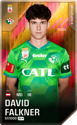 David Falkner - limited