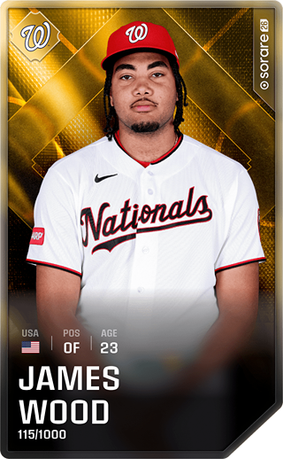 James Wood - limited