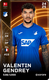 Valentin Gendrey - limited