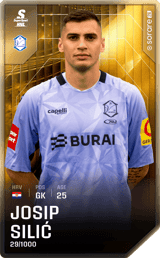 Josip Silić - limited