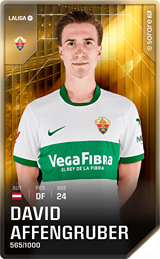 David Affengruber - limited