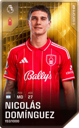 Nicolás Domínguez - limited