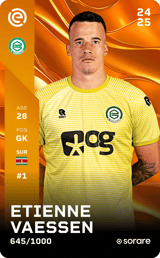 Etienne Vaessen - limited