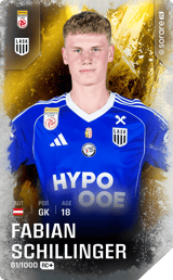 Fabian Schillinger - limited