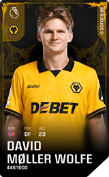 David Møller Wolfe - limited