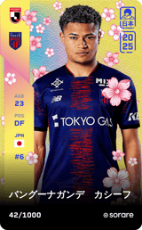 Kashif Bangnagande - limited