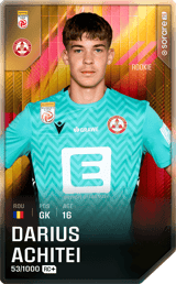 Darius Achitei - limited