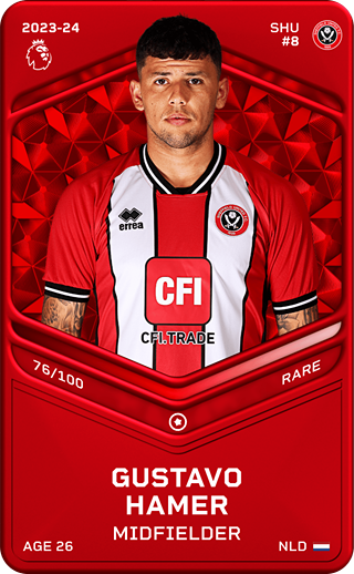 Gustavo Hamer - rare