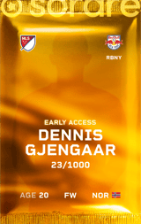 Dennis Gjengaar - limited