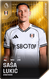 Saša Lukić - limited