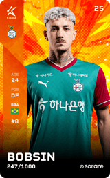 BOBSIN PEREIRA VICTOR - limited