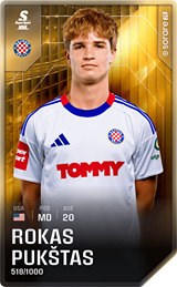 Rokas Pukštas - limited