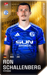 Ron Schallenberg - limited