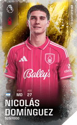 Nicolás Domínguez - limited