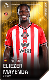 Eliezer Mayenda - limited