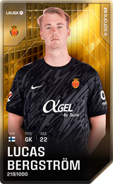 Lucas Bergström - limited