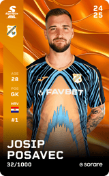 Josip Posavec - limited