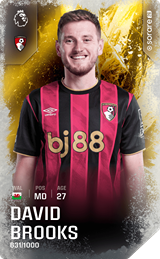 David Brooks - limited