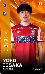 Yoko Iesaka - limited