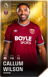 Callum Wilson - limited