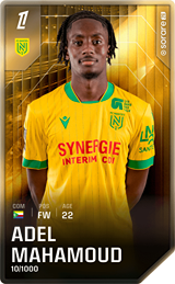 Adel Mahamoud - limited