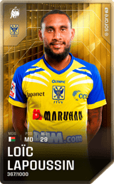 Loïc Lapoussin - limited