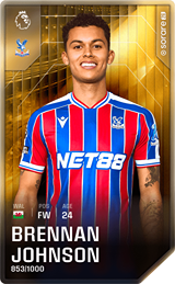 Brennan Johnson - limited