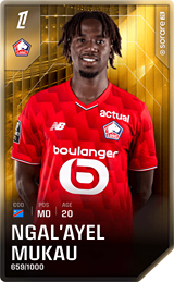 Ngal'ayel Mukau - limited