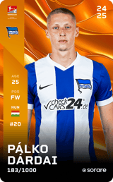 Pálko Dárdai - limited