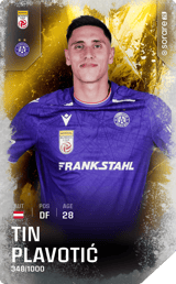 Tin Plavotić - limited