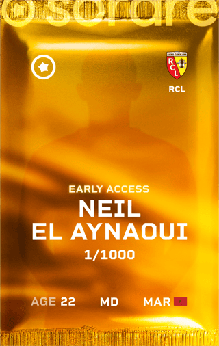 Neil El Aynaoui