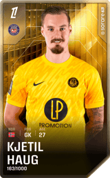 Kjetil Haug - limited