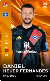 Daniel Heuer Fernandes - limited