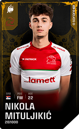 Nikola Mituljikić - limited