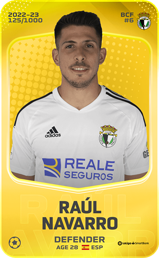 Raúl Navarro - limited