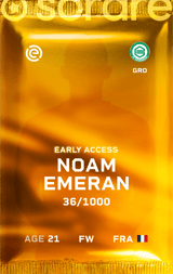 Noam Emeran - limited