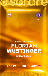 Florian Wustinger - limited