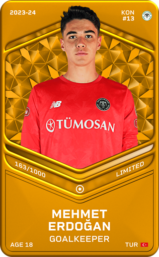 Mehmet Erdoğan - limited