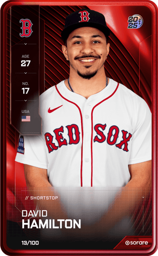 David Hamilton - rare