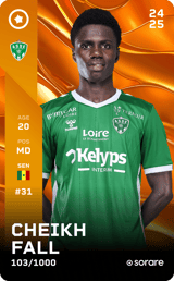 Cheikh Fall - limited