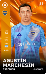 Agustín Marchesín - limited