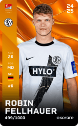 Robin Fellhauer - limited