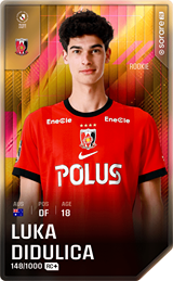 Luka Didulica - limited