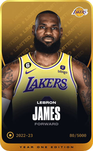 LeBron James - limited
