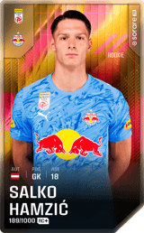 Salko Hamzić - limited