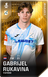 Gabrijel Rukavina - limited