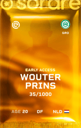 Wouter Prins - limited