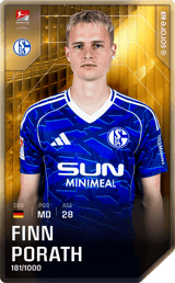 Finn Porath - limited